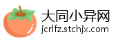 大同小异网